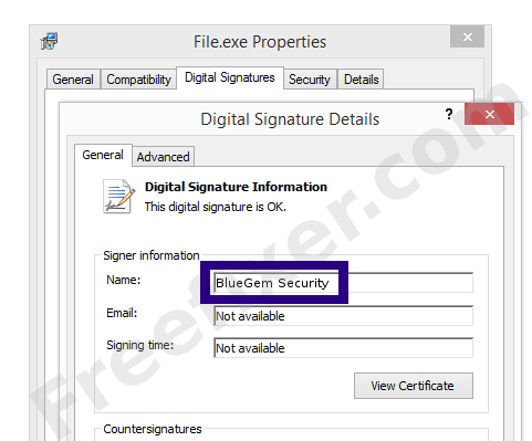 Screenshot of the BlueGem Security certificate